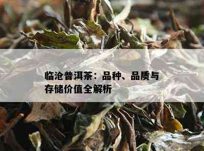 临沧普洱茶：品种、品质与存储价值全解析