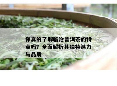 你真的了解临沧普洱茶的特点吗？全面解析其独特魅力与品质