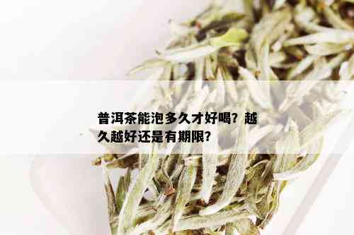 普洱茶能泡多久才好喝？越久越好还是有期限？