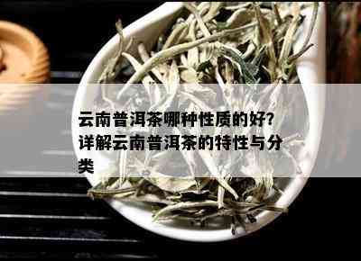 云南普洱茶哪种性质的好？详解云南普洱茶的特性与分类