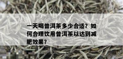 一天喝普洱茶多少合适？如何合理饮用普洱茶以达到减肥效果？