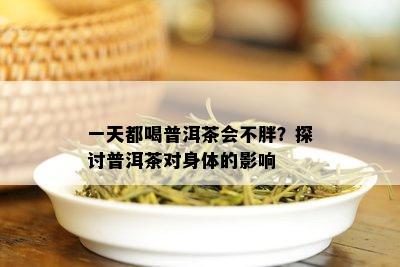 一天都喝普洱茶会不胖？探讨普洱茶对身体的影响