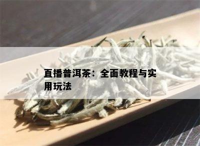 直播普洱茶：全面教程与实用玩法