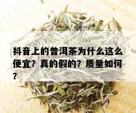 抖音上的普洱茶为什么这么便宜？真的假的？质量如何？