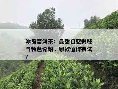 冰岛普洱茶：最甜口感揭秘与特色介绍，哪款值得尝试？