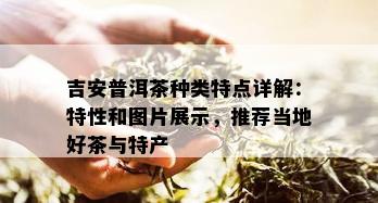 吉安普洱茶种类特点详解：特性和图片展示，推荐当地好茶与特产