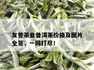 友誉茶业普洱茶价格及图片全览，一网打尽！