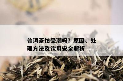 普洱茶怕受潮吗？原因、处理方法及饮用安全解析