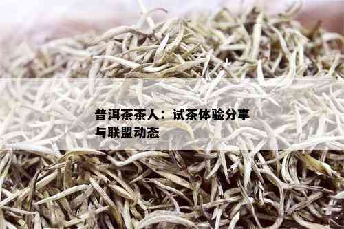 普洱茶茶人：试茶体验分享与联盟动态