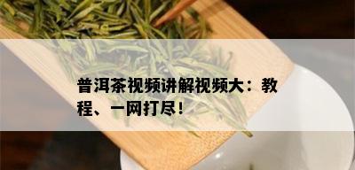 普洱茶视频讲解视频大：教程、一网打尽！