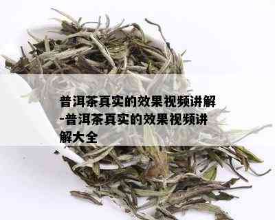 普洱茶真实的效果视频讲解-普洱茶真实的效果视频讲解大全