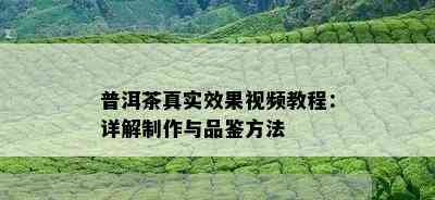 普洱茶真实效果视频教程：详解制作与品鉴方法