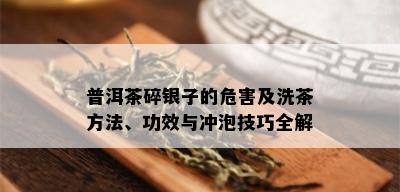 普洱茶碎银子的危害及洗茶方法、功效与冲泡技巧全解