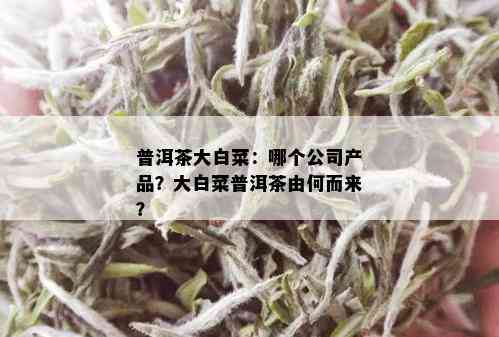 普洱茶大白菜：哪个公司产品？大白菜普洱茶由何而来？