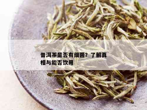 普洱茶是否有细菌？了解真相与能否饮用