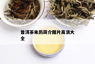 普洱茶来历简介图片高清大全