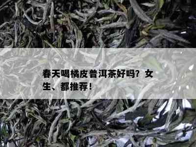 春天喝橘皮普洱茶好吗？女生、都推荐！