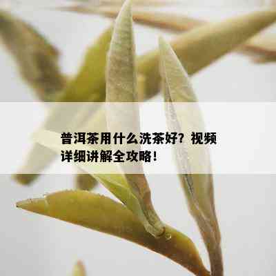 普洱茶用什么洗茶好？视频详细讲解全攻略！