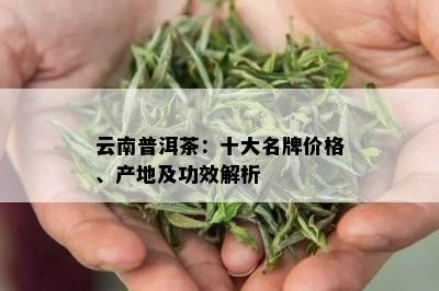 云南普洱茶：十大名牌价格、产地及功效解析