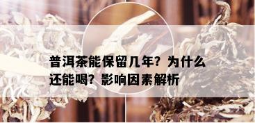 普洱茶能保留几年？为什么还能喝？影响因素解析