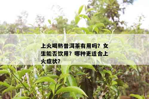 上火喝熟普洱茶有用吗？女生能否饮用？哪种更适合上火症状？