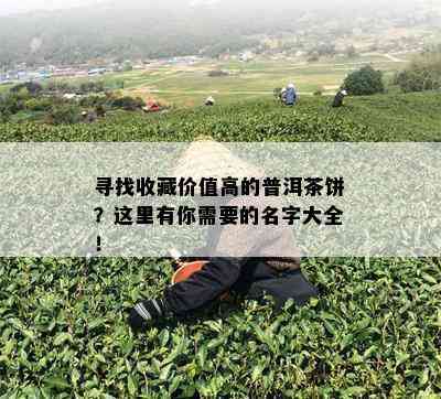 寻找收藏价值高的普洱茶饼？这里有你需要的名字大全！