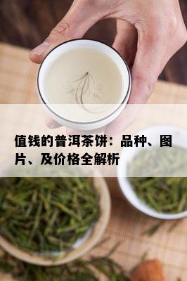 值钱的普洱茶饼：品种、图片、及价格全解析