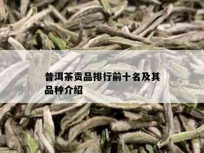 普洱茶贡品排行前十名及其品种介绍