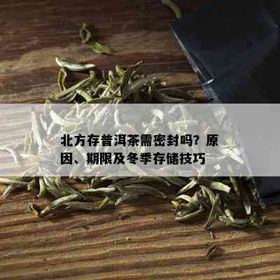 北方存普洱茶需密封吗？原因、期限及冬季存储技巧