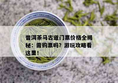 普洱茶马古道门票价格全揭秘：需购票吗？游玩攻略看这里！