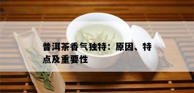 普洱茶香气独特：原因、特点及重要性