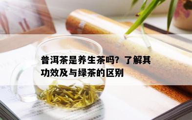 普洱茶是养生茶吗？了解其功效及与绿茶的区别