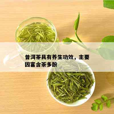 普洱茶具有养生功效，主要因富含茶多酚