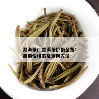 勐海茶厂普洱茶价格全览：最新价格表及查询方法