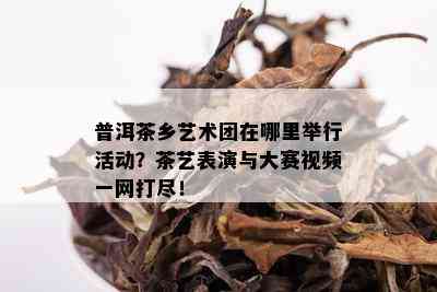 普洱茶乡艺术团在哪里举行活动？茶艺表演与大赛视频一网打尽！