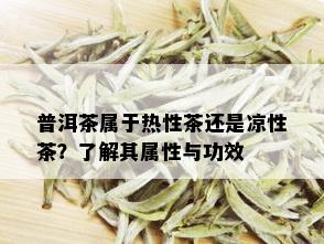 普洱茶属于热性茶还是凉性茶？了解其属性与功效