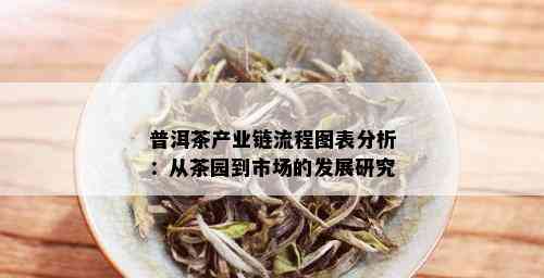 普洱茶产业链流程图表分析：从茶园到市场的发展研究