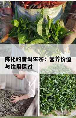 陈化的普洱生茶：营养价值与饮用探讨