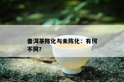 普洱茶陈化与未陈化：有何不同？