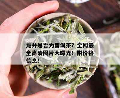 龙井是否为普洱茶？全网最全高清图片大曝光！附价格信息！