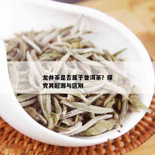 龙井茶是否属于普洱茶？探究其起源与区别