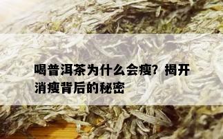 喝普洱茶为什么会瘦？揭开消瘦背后的秘密