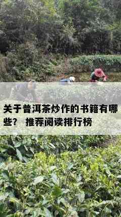 关于普洱茶炒作的书籍有哪些？ 推荐阅读排行榜