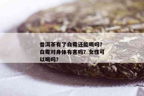 普洱茶有了白霉还能喝吗？白霉对身体有害吗？女性可以喝吗？