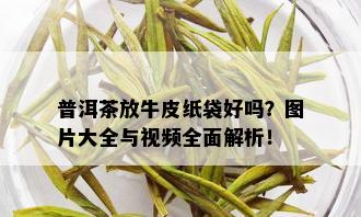 普洱茶放牛皮纸袋好吗？图片大全与视频全面解析！