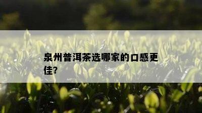 泉州普洱茶选哪家的口感更佳？