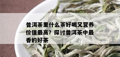 普洱茶里什么茶好喝又营养价值更高？探讨普洱茶中最香的好茶