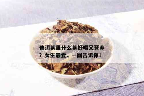 普洱茶里什么茶好喝又营养？女生更爱，一图告诉你！