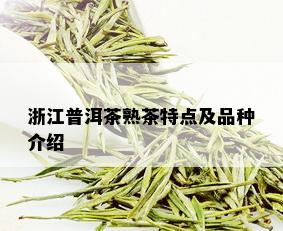 浙江普洱茶熟茶特点及品种介绍