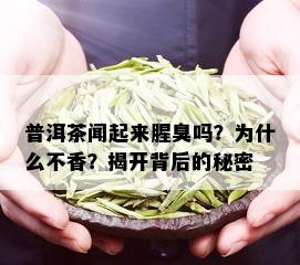 普洱茶闻起来腥臭吗？为什么不香？揭开背后的秘密